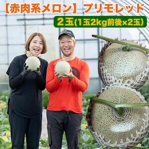 【先行予約】808.【赤肉系メロン】プリモレッド×２玉（1玉2kg前後×2玉）※離島への配送不可