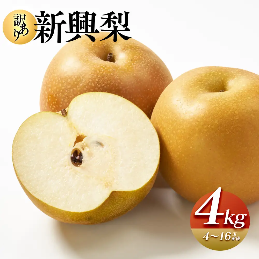 927.【先行予約】【訳あり】新興梨 4kg（4～16玉前後）≪果物 フルーツ くだもの≫　※2026年10月上旬～11月下旬頃に順次発送予定