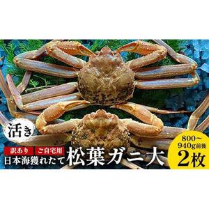 112.【活き】訳あり ご自宅用日本海獲れたて松葉ガニ 大　800～940g前後　2枚◇ ≪かに カニ 蟹 ズワイガニ≫　※2026年11月上旬～2027年3月上旬頃に順次発送予定