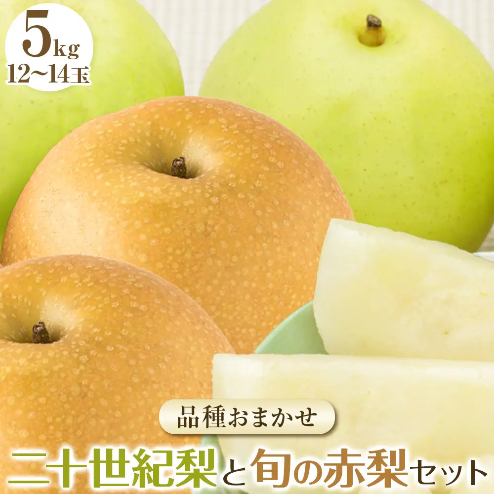 【先行予約】二十世紀梨と旬の赤梨セット 5kg ※2026年8月下旬～9月下旬頃に順次発送予定 梨