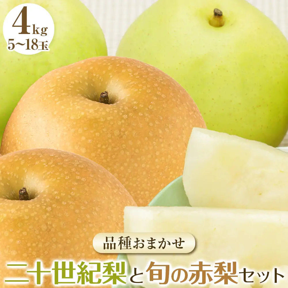 【先行予約】【品種はおまかせ】二十世紀梨と旬の赤梨セット ※2026年8月下旬～9月下旬頃に順次発送予定 梨