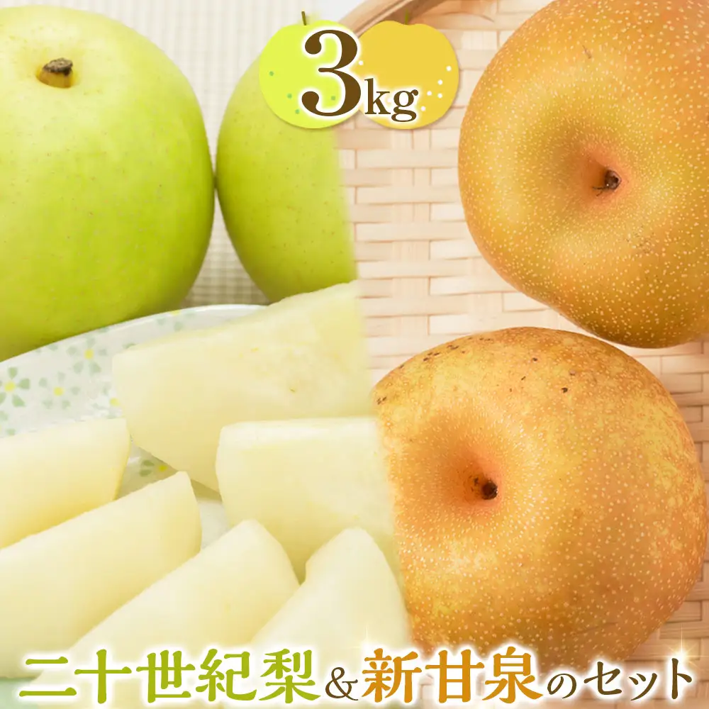 【先行予約】二十世紀梨と新甘泉のセット ※2026年8月下旬～9月下旬頃に順次発送予定 梨