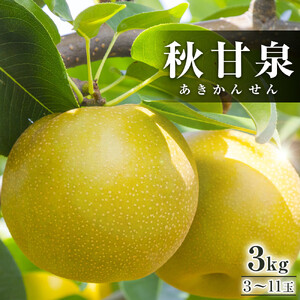 294.【先行予約】秋甘泉　3kg前後（3～11玉前後）◇　※2026年9月中旬～9月下旬頃に順次発送予定