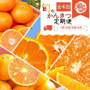 〈定期便〉【1・2・3・4月 全4回】紀州和歌山産旬のご家庭用柑橘セット(みかん・不知火・せとか・清見) ※離島への配送不可