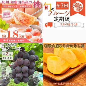 〈定期便〉【7・9・10月 全3回】紀州和歌山産旬のフルーツセット(桃・ピオーネ・ひらたねなし柿) ｜ フルーツ