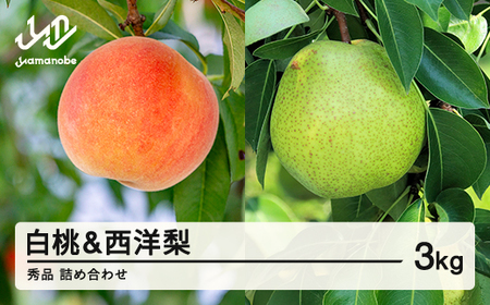 《先行予約》2026年 山形県産 白桃 & 西洋梨 詰め合わせ 秀品 品種おまかせ  もも 約3kg  令和8年産 ※沖縄・離島への配送不可 ns-fshyx3