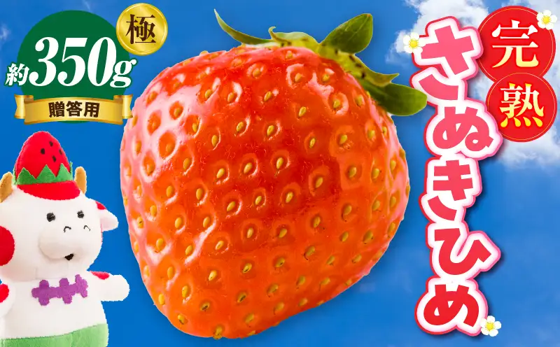 【先行予約】贈答用 完熟さぬき姫 極み 約350g | いちご 苺 さぬき姫 さぬきひめ 香川県オリジナル 希少 甘い 完熟 フルーツ 果物 旬 香川県 三木町 |_mk035-003