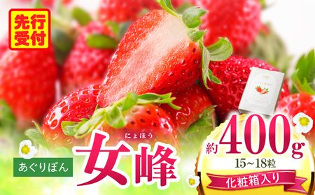 あぐりぼん　いちご「女峰」【贈答用】いとしきみ化粧箱　約400g（15～18粒）| いちご 果物 フルーツ デザート ストロベリー 果肉 スイーツ 甘い 国産 贈り物 贈答 プレゼント グルメ 人気 おすすめ 季節 旬 旬の果物 香川県 三木町 送料無料|_mk144-001