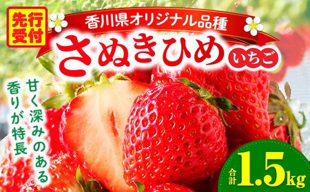 三木町地域いちご部会「さぬきひめ」1.5kg |いちご 苺 イチゴ さぬき姫 さぬきひめ 希少 甘い スイーツ ストロベリー 冷蔵 1kg以上 旬 果物 フルーツ 青果物 香川県  香川県オリジナルデザート おすすめ|_mk006-012