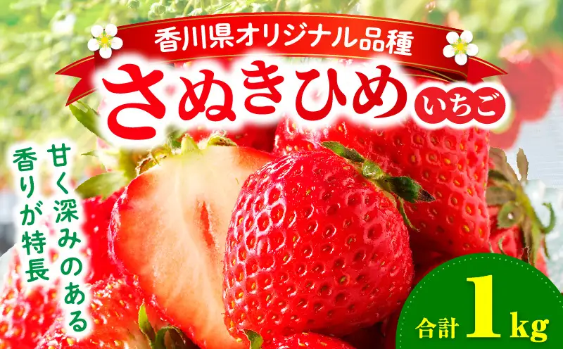 【先行予約】三木町地域いちご部会「さぬきひめ」1.0kg |いちご 苺 ストロベリー さぬき姫 さぬきひめ 香川県 香川県オリジナル 希少 甘い フルーツ 旬 果物 スイーツ 冷蔵 1kg以上 デザート 青果物 贈答 プレゼント 贈り物 おすすめ |_mk006-015