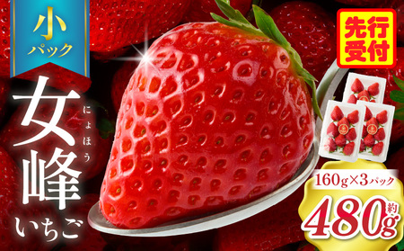 【苺ファーム森本】女峰いちご 小パック160g×3パック ≪IDOMALL セレクト≫|スイーツ いちご ストロベリー 女峰 苺 ジャム いちごジャム フルーツ 旬 果物 香川県 デザート 青果物 贈答 プレゼント 贈り物 おすすめ|_mk048-011