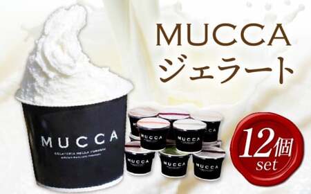 MUCCAジェラート　12個セット ジェラート| 12個 MUCCA サンセットミルク アイス デザート スイーツ 牧場育ち 香川県 三木町|_mk024-001