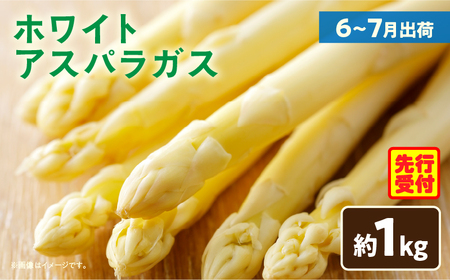 ホワイトアスパラガス約1kg（6～7月出荷）|アスパラ アスパラガス ホワイトアスパラガス 新鮮 素材の味 夏野菜 直送 香川県 三木町|_mk002-003