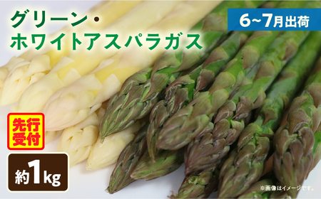 グリーン・ホワイトアスパラガス約1kg（6～7月出荷） | ホワイトアスパラ アスパラガス グリーンアスパラ アスパラ 野菜 生野菜 夏野菜 直送 新鮮 おすすめ 柔らかい  香川県 三木町 |_mk002-004