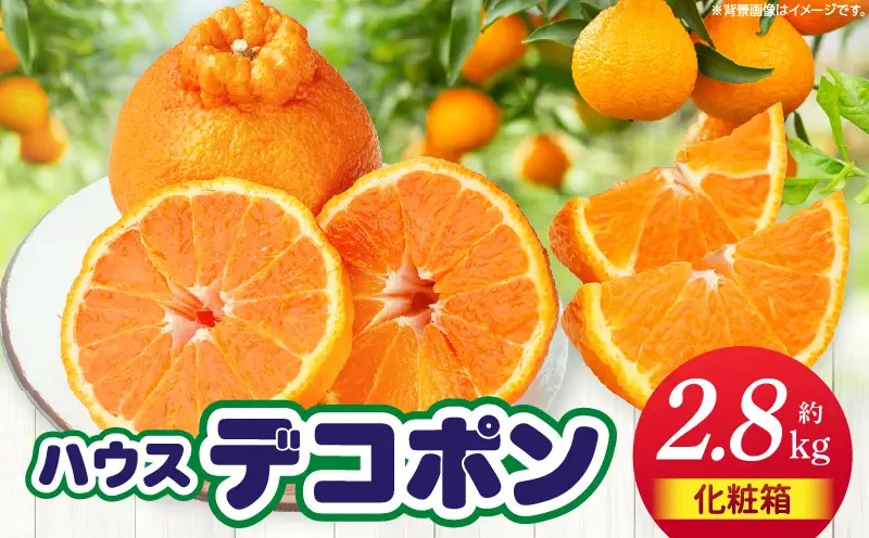 【先行予約】ハウスデコポン約2.8kg化粧箱 | デコポン 甘い 酸味 柑橘 柑橘系 果物 フルーツ 青果 デザート グルメ おすすめ 贈答 贈り物 贈答用 ギフト プレゼント 特産品 特産 取り寄せ 香川県 三木町 |_mk006-026