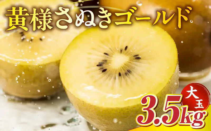 【先行予約】黄様さぬきゴールド3.5kg(大玉)【香川県共通返礼品】|キウイ フルーツ デザート 果物 ゴールドキウイ 甘み 贈り物 贈答 旬 旬の果物 旬のフルーツ おすすめ 人気 特産品 果肉 季節の果物 季節 グルメ 生鮮食品 お裾分け 香川県 三木町|_mk025-004