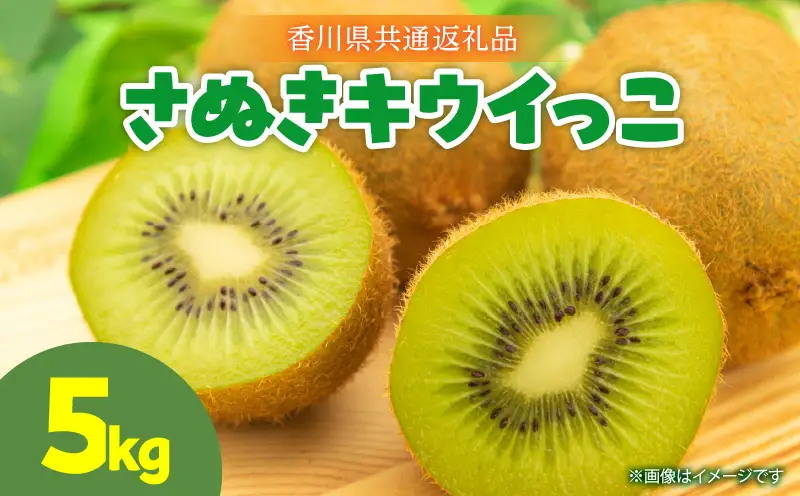 【先行予約】さぬきキウイっこ5.0kg【香川県共通返礼品】|キウイ 果物 フルーツ デザート 旬 旬の果物 季節 季節の果物 人気 おすすめ 贈り物 贈答 プレゼント ご褒美 キウイフルーツ さぬきキウイ 香川 香川県 三木町 送料無料|_mk025-003