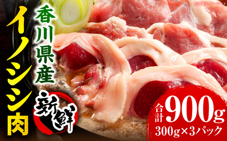 香川県産　イノシシ肉　300g×3パック　ジビエ　牡丹鍋|肉 イノシシ肉 ジビエ 冷凍 香川県 三木町|_mk141-001