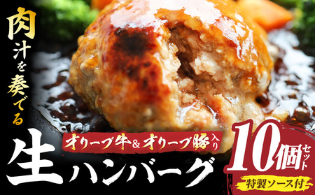 オリーブ牛&オリーブ豚入り生ハンバーグ　特製ソース付　150g×10個セット|オリーブ牛 ハンバーグ オリーブ豚 国産牛 肉汁の滝 特製ソース ステーキソース ジューシー 濃厚 冷凍 香川県 おすすめ|_mk146-164
