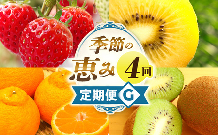 季節の恵み4回定期便G |果物 フルーツ 青果 青果物 デザート スイーツ 果実 旬 季節 旬の果物 季節の果物 生鮮食品 生鮮 贈答 贈り物 ギフト プレゼント おすそ分け お祝い 内祝い ご褒美 人気 グルメ お取り寄せ 特産品 特産 国産 香川県 三木町  |_mk165-t045
