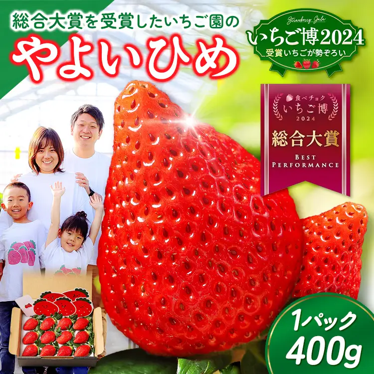 【いちご博総合大賞】やよいひめ 約400g | いちご 苺 イチゴ ストロベリー 冷蔵 甘い 新鮮 完熟 大粒 果物 フルーツ 産地直送 農家直送 国産 人気 おすすめ 高級 ギフト 贈答 プレゼント お祝い 大賞受賞 高評価 群馬県 伊勢崎市 先行受付 先行予約 ※2027年1月～発送