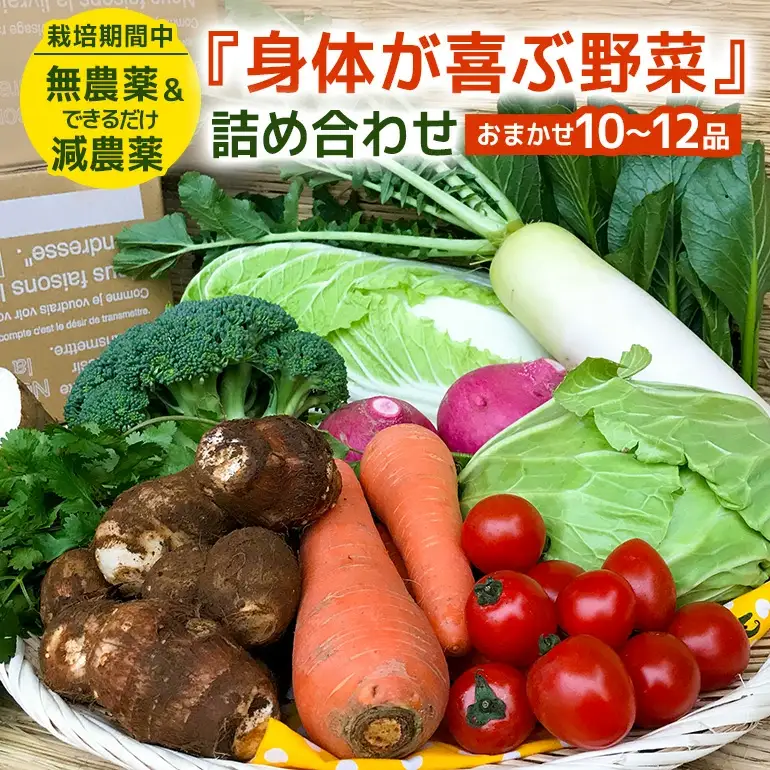 『身体が喜ぶ野菜』詰め合わせ ( おまかせ 10～12品) 野菜 詰合せ 詰め合わせセット お任せ 季節の野菜 セット 栽培期間中農薬不使用 有機栽培 微生物農法 EM農法 露地栽培 産地直送 新鮮 野菜ボックス ギフト 家庭用 茨城県 潮来市 (A03-001)