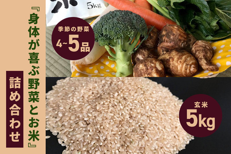 ＜玄米 5kg＞『身体が喜ぶ野菜とお米』詰め合わせ おまかせセット 茨城県産 コシヒカリ 米 お米 ご飯 ごはん 栽培期間中農薬不使用 季節の野菜 セット 微生物農法 EM農法 有機栽培 産地直送 新鮮 家庭用 潮来はぐくみのもり 茨城県 潮来市 (A03-003)