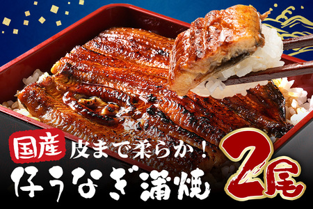 超特大!やわらか 国内産うなぎ蒲焼 220～250g 2尾 計440g以上 肉厚ジューシー ふっくら柔らか ブランド鰻使用 秘伝のタレ・山椒付き 湯煎で簡単調理 うな丼 うな重 贈答用 ギフト 冷蔵配送 国産 茨城県 潮来市 (A23-004)