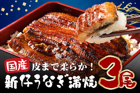 超特大!やわらか 国内産うなぎ蒲焼 220～250g 3尾 計660g以上 肉厚ジューシー ふっくら柔らか ブランド鰻使用 秘伝のタレ・山椒付き 湯煎で簡単調理 うな丼 うな重 贈答用 ギフト 冷蔵配送 国産 茨城県 潮来市 (A23-005)