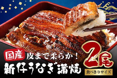 やわらか国内産 うなぎ蒲焼 食べ切りサイズ! 100～120g 2尾 計200g以上 ふっくら蒲焼き ブランド鰻使用 秘伝のタレ・山椒付き 湯煎で簡単調理 うな丼 ちらし寿司 贈答用 ギフト 冷蔵配送 国産 茨城県 潮来市 (A23-008)