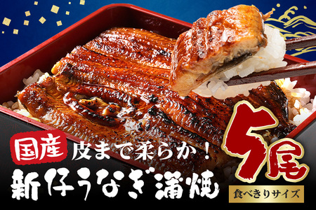 やわらか国内産 うなぎ蒲焼 食べ切りサイズ! 100～120g 5尾 計500g以上 ふっくら蒲焼き ブランド鰻使用 秘伝のタレ・山椒付き 湯煎で簡単調理 うな丼 ちらし寿司 贈答用 ギフト 冷蔵配送 国産 茨城県 潮来市 (A23-011)