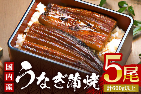 やわらか国内産 うなぎ蒲焼 満足サイズ! 120～140g 5尾 計600g以上 ふっくら蒲焼き ブランド鰻使用 秘伝のタレ・山椒付き 湯煎で簡単調理 うな丼 ちらし寿司 贈答用 ギフト 冷蔵配送 国産 茨城県 潮来市 (A23-015)