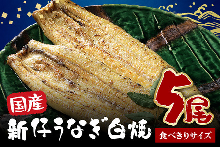 食べ切りサイズ! 国内産 うなぎ 白焼 ( 酒蒸 ) 100～120g 5尾 計500g以上 ふっくら 柔らか 鰻本来の旨味 ワサビ醤油 蒲焼のタレ 山椒付き 湯煎 簡単調理 贈答用 ギフト 冷蔵配送 国産 茨城県 潮来市 (A23-029)