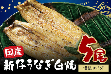 満足サイズ! 国内産 うなぎ 白焼 ( 酒蒸 ) 120～140g 5尾 計600g以上 ふっくら 柔らか 鰻本来の旨味 ワサビ醤油 蒲焼のタレ 山椒付き 湯煎 簡単調理 贈答用 ギフト 冷蔵配送 国産 茨城県 潮来市 (A23-018)