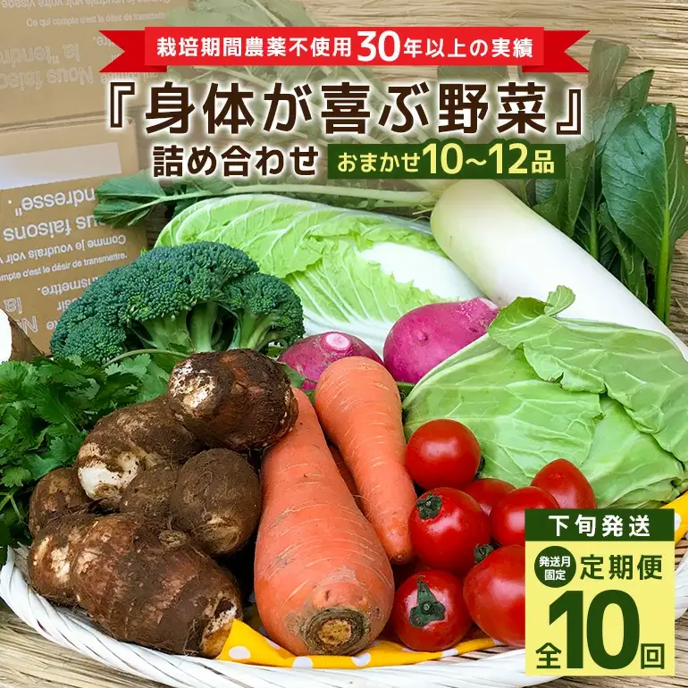＜発送月固定定期便＞『身体が喜ぶ野菜』詰め合わせ ( おまかせ 10～12品) 定期便 野菜 詰合せ 下旬発送全10回 詰め合わせセット お任せ 野菜定期便 季節の野菜 セット 有機栽培 EM農法 産地直送 野菜ボックス ギフト 家庭用 茨城県 潮来市 (A03-021)