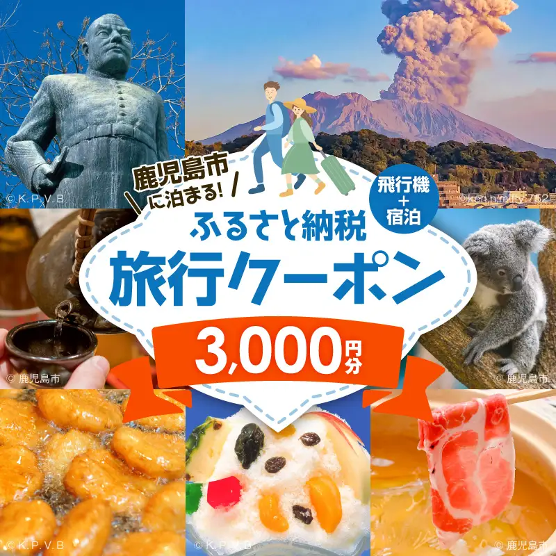 鹿児島市に泊まる（飛行機+宿泊）ふるさと納税旅行クーポン【3,000円分】 K349-001_03 トラベル ツアー 宿泊 国内旅行 鹿児島旅行