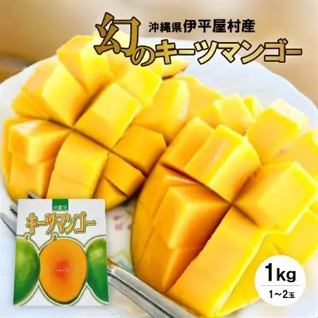 伊平屋産の幻のキーツマンゴー約1kg(1～2玉)【1497062】