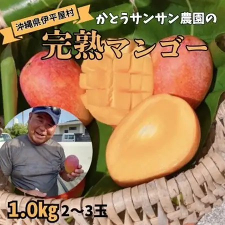【2026年7月頃発送】離島の恵み　完熟マンゴー1.0kg【配送不可地域：離島】【1574747】