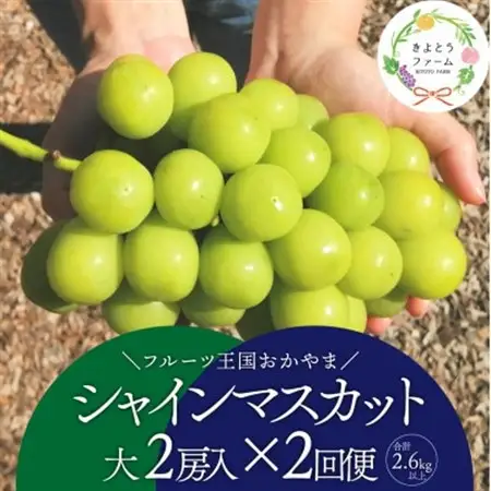 【発送月固定定期便】シャインマスカット(大2房)の満足便!2便計2.6kg～(岡山県産)全2回【配送不可地域：離島】【4065361】