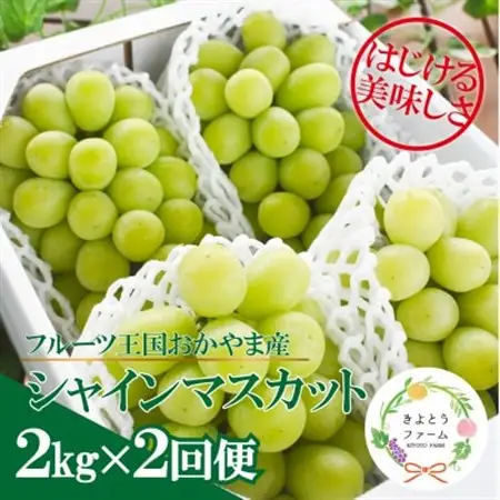【発送月固定定期便】シャインマスカット(3-5房)を楽しむ満足便!2便計4.0kg～(岡山産)全2回【配送不可地域：離島】【4065363】