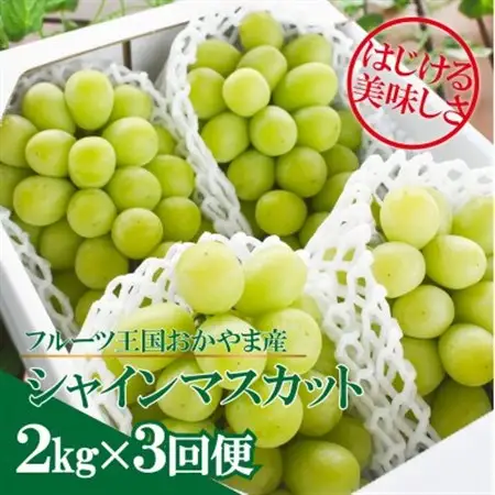 【発送月固定定期便】シャインマスカット(3-5房)を楽しむ満足便!3便計6.0kg～(岡山産)全3回【配送不可地域：離島】【4065364】