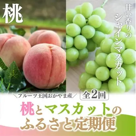 【発送月固定定期便】おかやまフルーツ便! 桃とシャインマスカットどっちも食べたい!(岡山県産)全2回【配送不可地域：離島・北海道・沖縄県】【4065365】