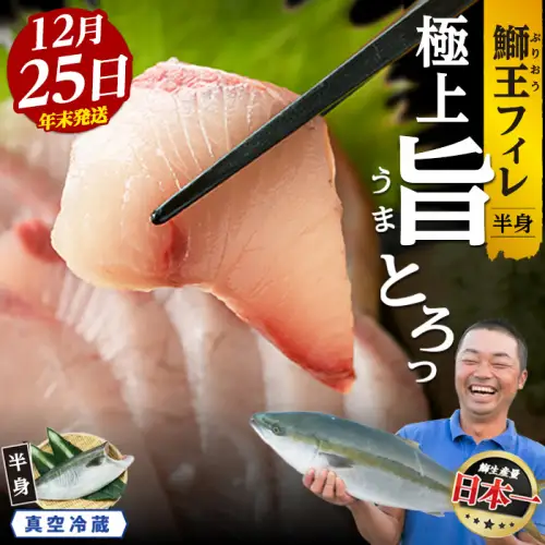 【期間限定特別寄附額】＼年末発送 先行予約／＜数量限定＞【2026年12月25日発送】『旅サラダ』で紹介ぶりの王様「 鰤王 」 フィレ 半身 (約1.2kg～・フィレ1枚) 産地直送 新鮮 旨味が抜群の 長島町 特産品 ブランド ぶり 鰤 ブリ 切り身 真空 冷蔵 刺身 ぶりしゃぶ しゃぶしゃぶ 魚 魚介 人気 ランキング 年末年始発送 【JFA】jfa-1630-25