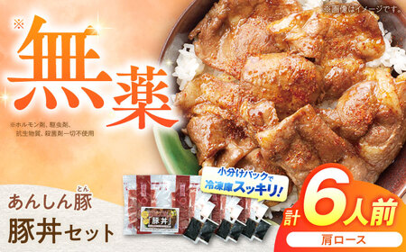 タレ付き 豚丼セット 肩ロース120g 計6人前 白川町 / 藤井ファーム [AWAF003]