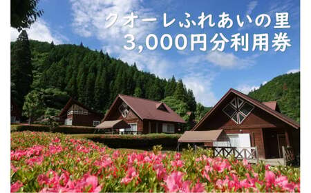 クオーレふれあいの里 利用券（3，000円分）宿泊券 キャンプ チケット アウトドア BBQ 白川町 / 美濃白川クオーレの里[AWAP001]