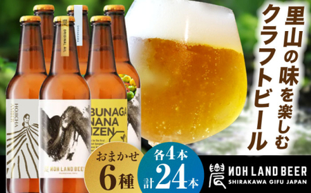  お山のクラフトビール6種 × 各4本 クラフトビール 白川町 / Sunpo[AWBC010] 