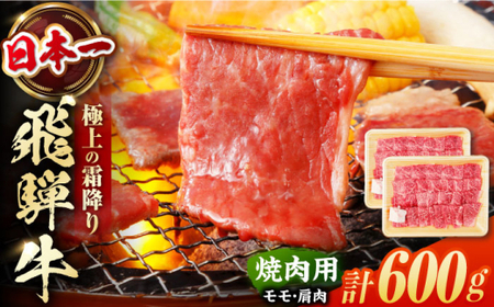 飛騨牛 【冷凍配送】焼肉用赤身【600g】 飛騨牛 白川町 浅井商店[AWBJ001]