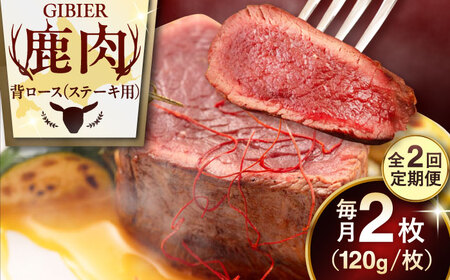 【全2回定期便】鹿肉 背ロース 2枚  ジビエ 赤身 冷凍配送 [AJAO067]