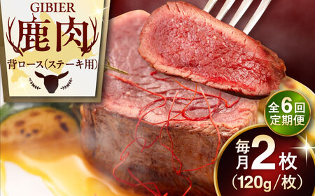 【全6回定期便】鹿肉 背ロース 2枚  ジビエ 赤身 冷凍配送 [AJAO069]