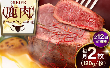 【全12回定期便】鹿肉 背ロース 2枚  ジビエ 赤身 冷凍配送 [AJAO070]